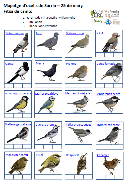 Ocells de Sarrià_1